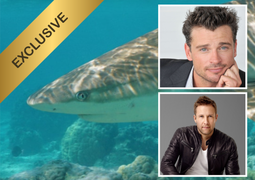Reef Shark Snorkeling With Tom Welling and Michael Rosenbaum!