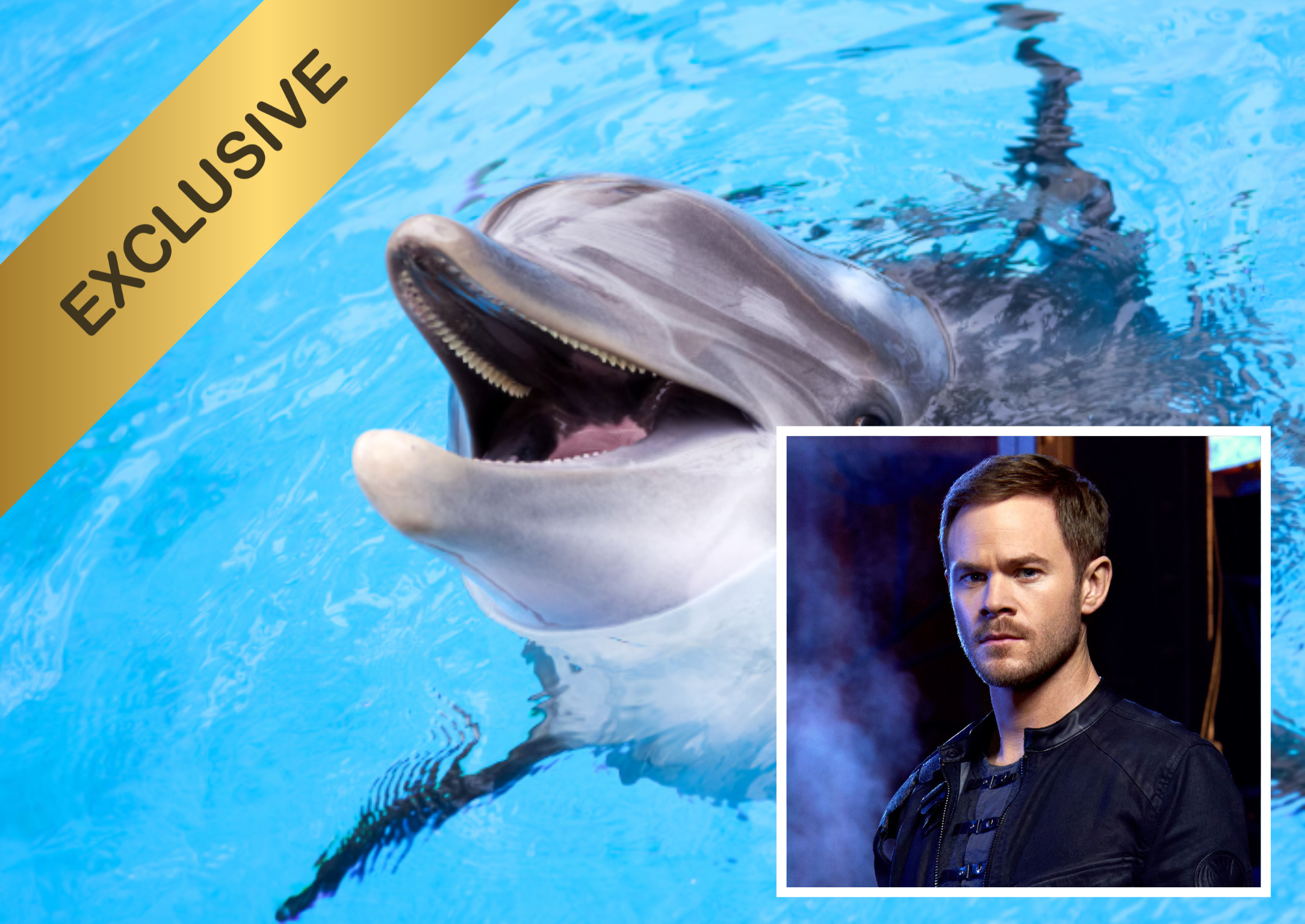 Dolphin Swim Grand Cayman With Aaron Ashmore!