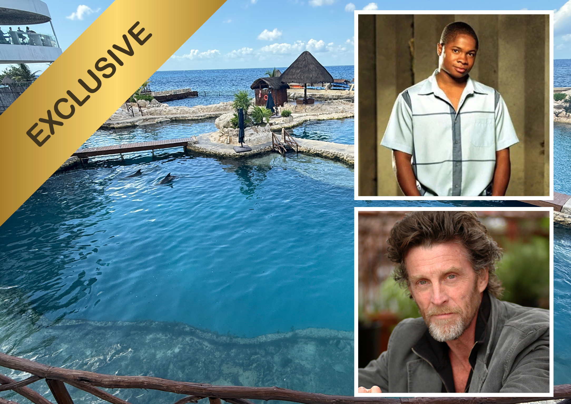 Cozumel Dolphin Swim Experience With Sam Jones and John Glover!